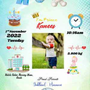 Baby Boy Birth Details Personalized Photo Frame